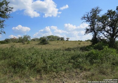 23406 Collin Canyon, San Antonio, TX 78255 - photo 4