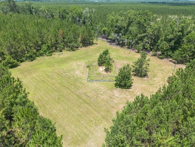 0 Oriole Rd unit 23852171, Alma, GA 31510 - photo 4