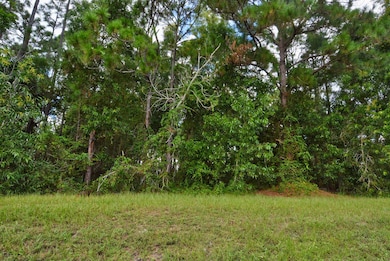 6209 NW Duke Cir, Port St. Lucie, FL 34983 - photo 2