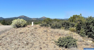 Lot 13 Hereford Dr, Silver City, NM 88061 - photo 3