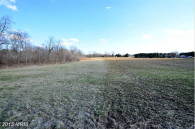 14807 A Falls Rd, Cockeysville, MD 21030 - photo 3