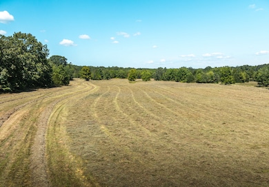 0 Highway 221 unit 11571616, Ironton, MO 63650 - photo 5