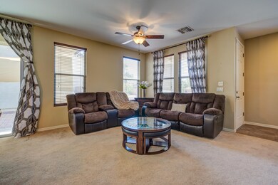 163 West Paseo Celestial_7