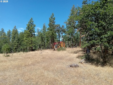 0 Wilderness Loop unit 75-76 553771326, Goldendale, WA 98620 - photo 5