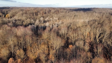 drone woods