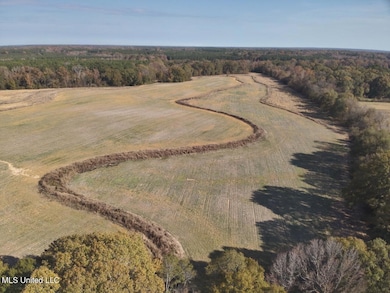 0 Linwood unit 4132080, Benton, MS 39039 - photo 4