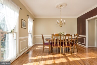 43352 St Andrews St, Chantilly, VA 20152 - photo 6