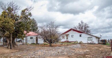 14075 Road 25, Dolores, CO 81323 - photo 5