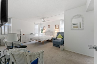 4 windows in bedroom