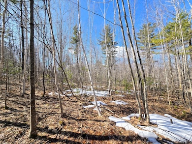 0 Sabattus Trail Rd unit 1617555, Lovell, ME 04051 - photo 7