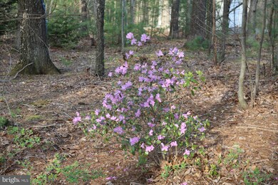 228 Gobbler Run Dr, Warfordsburg, PA 17267 - photo 4