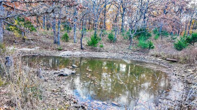 19832 County Road 64, Wheatland, MO 65779 - photo 4