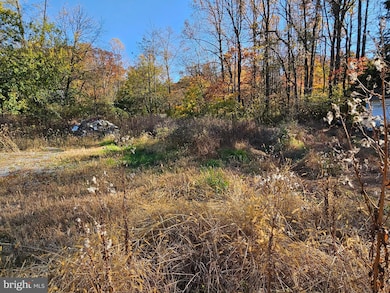 2261 S Forge Rd, Palmyra, PA 17078 - photo 7