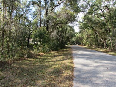 00 SW 187 Ave unit 26, Dunnellon, FL 34432 - photo 2