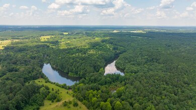 00 U S 341, Yatesville, GA 31097 - photo 3