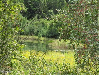 0 Bone Ridge Rd, Paupack Township, PA 18428 - photo 5