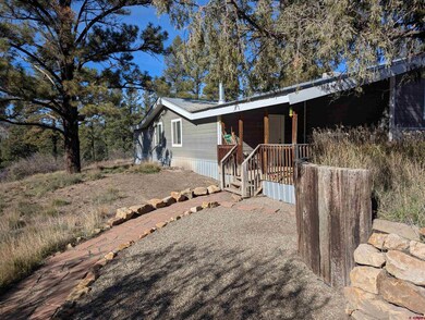 472 Haystack Cir, Pagosa Springs, CO 81147 - photo 3