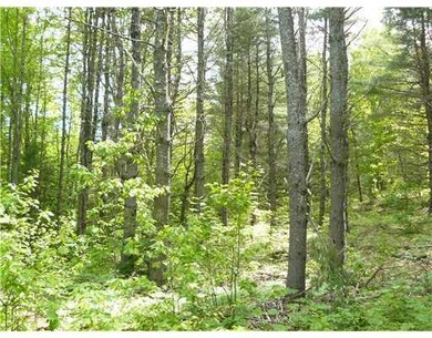 Land. Pretty pines