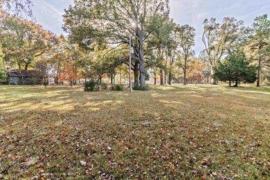View of grassy yard with view of scattered trees