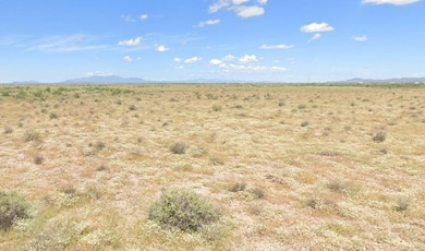 Acequia Rd, Akela, NM 88030 - photo 4