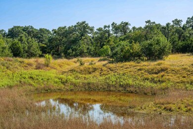 147 Gray Wolf, Blanco, TX 78606 - photo 3