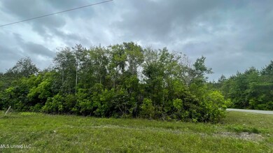 IMG_6091