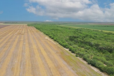 unlisted-address, Alice, TX 78332 - photo 5