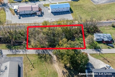 TBD Creamery St, White Pine, TN 37890 - photo 5