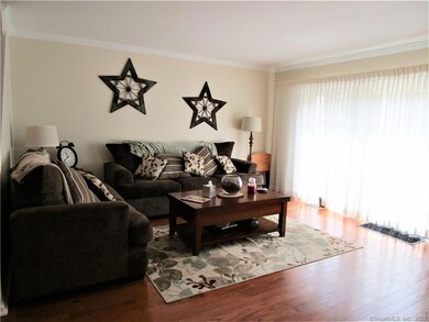 12 Boulevard Dr unit 140, Danbury, CT 06810 - photo 6