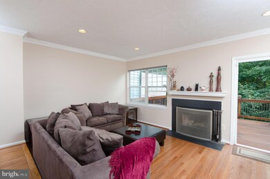 3611 Buckeye Ct, Fairfax, VA 22033 - photo 6