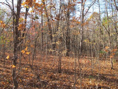 9560 Madison, Red Star, AR 72752 - photo 4