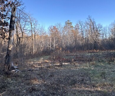 Tbd, Springbrook, WI 54875 - photo 4