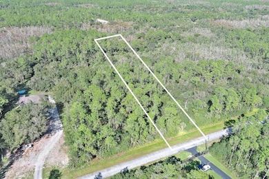 4669 32nd Ave SE, Rural Estates, FL 34117 - photo 2