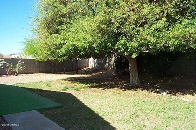 Backyard5