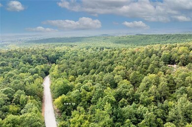 369 Frances Fir Rd, Broken Bow, OK 74728 - photo 5