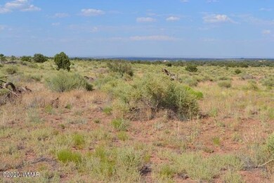 8775 E Concho Highway 005
