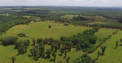 DJI_0029 boundary
