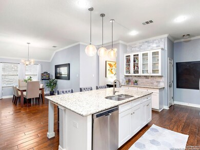 18002 Bierstadt Mount, Helotes, TX 78023 - photo 6