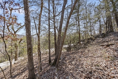 000 Map Ln, Branson, MO 65616 - photo 2
