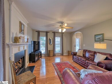 14 Crevasse Ln, Greenville, SC 29617 - photo 6