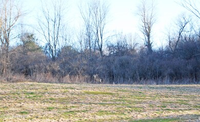 00 John Snyder Rd, Brunswick, NY 12180 - photo 6