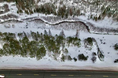 TBD U S 131, Boyne Falls, MI 49713 - photo 2