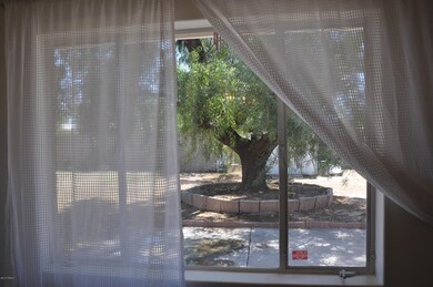 View backyard