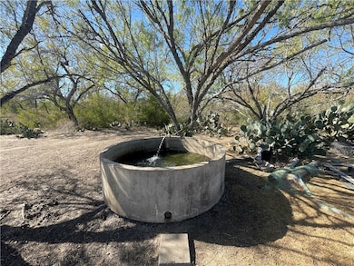 10 acres Cr 421, Christine, TX 78012 - photo 5