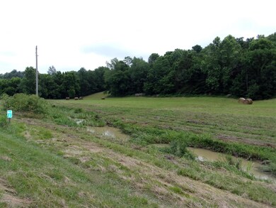 1880 Ashes Creek Rd, Bloomfield, KY 40008 - photo 5