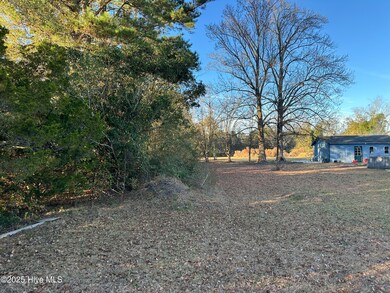 814 Luther Banks Rd, Beulaville, NC 28518 - photo 4