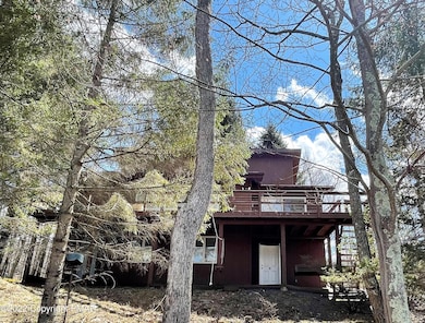 133 Mockingbird Ct, Bushkill, PA 18324 - photo 3