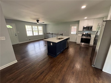 Kitchen with appliances with stainless steel finishes, a sink, ceiling fan, dark wood-style flooring, and healthy amount of natural light