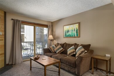 1565 Shadow Run Frontage unit 209, Steamboat Springs, CO 80487 - photo 5