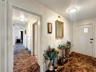 Carpeted foyer